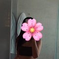 sexy pictures, nude photos, erotic pics