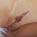 erotiski foto, seksa foto, seksa bildes
